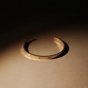 拍珠宝｜理光gr3卡纸0成本💰拍摄 8 大能猫来到了鹿儿岛 来自小红书网页版